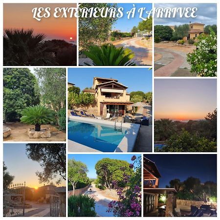 Villa Saba Olbia Dış mekan fotoğraf