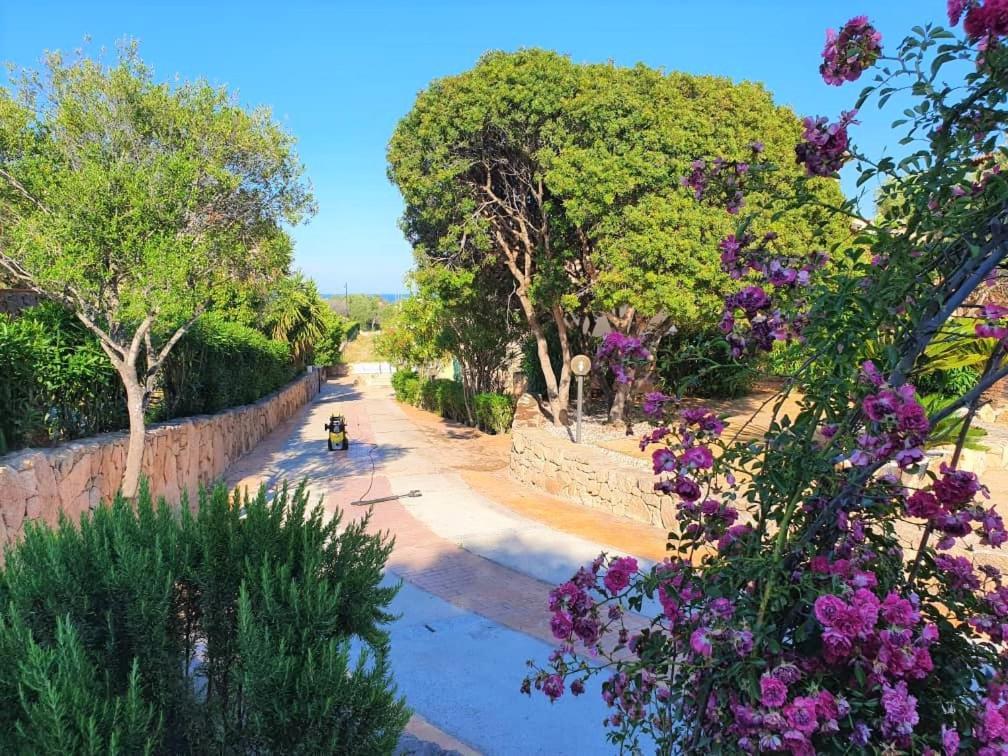 Villa Saba Olbia Dış mekan fotoğraf