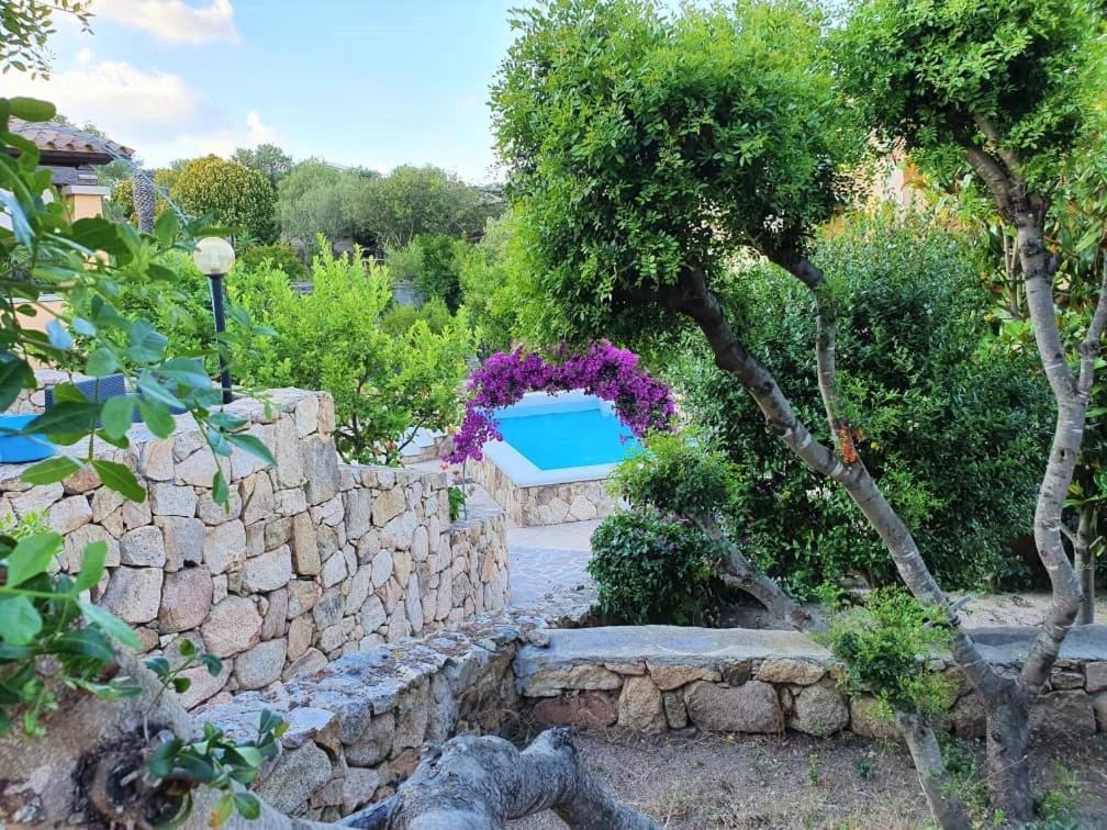 Villa Saba Olbia Dış mekan fotoğraf