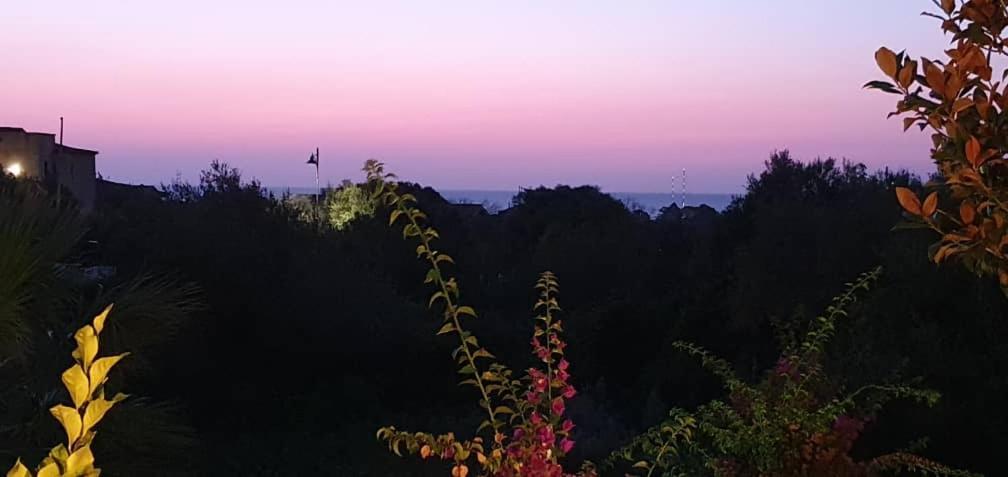 Villa Saba Olbia Dış mekan fotoğraf