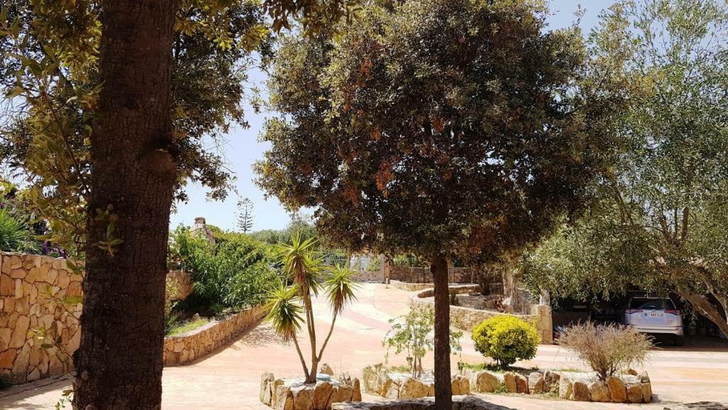 Villa Saba Olbia Dış mekan fotoğraf