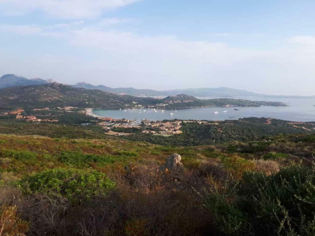 Villa Saba Olbia Dış mekan fotoğraf