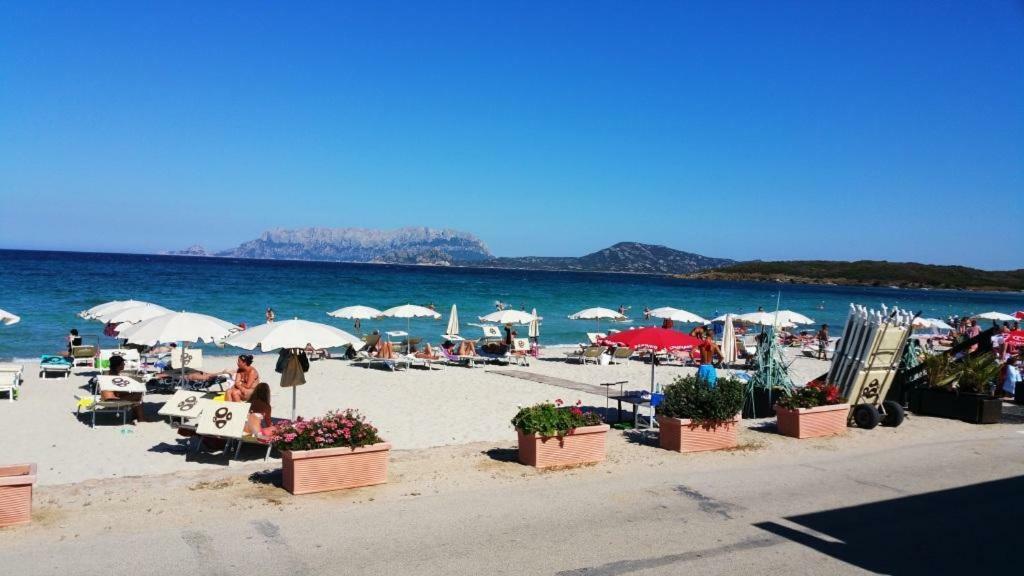 Villa Saba Olbia Dış mekan fotoğraf