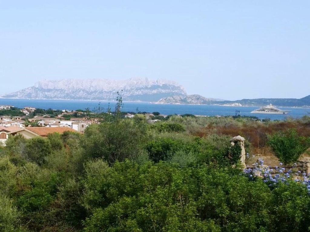 Villa Saba Olbia Dış mekan fotoğraf