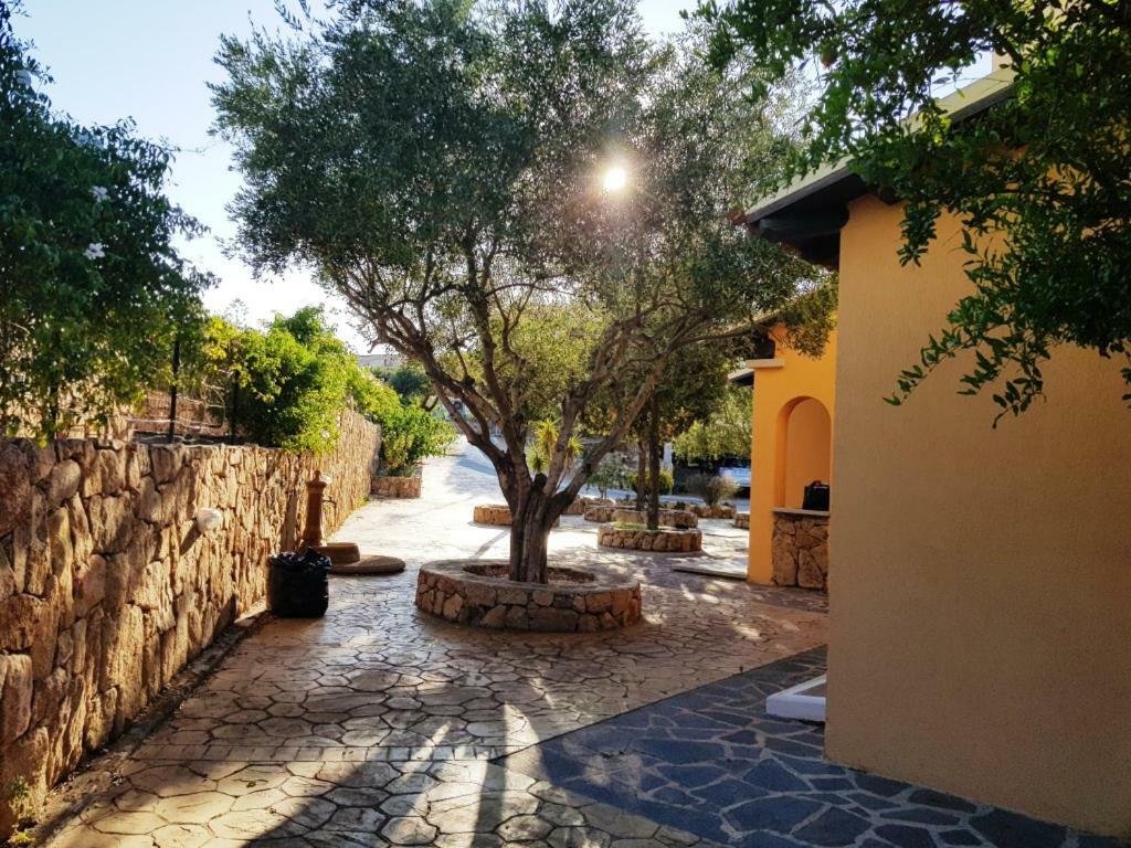 Villa Saba Olbia Dış mekan fotoğraf