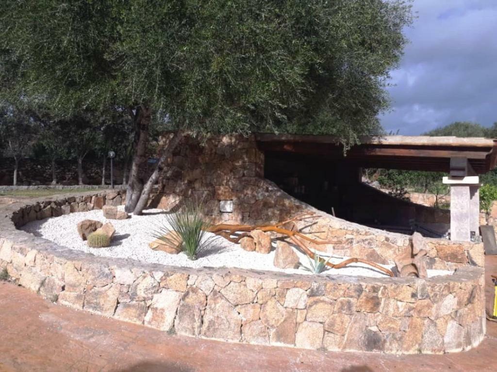 Villa Saba Olbia Dış mekan fotoğraf