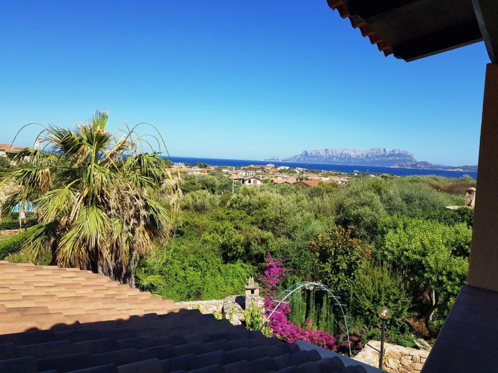 Villa Saba Olbia Dış mekan fotoğraf