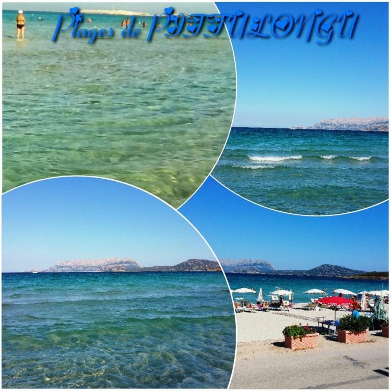 Villa Saba Olbia Dış mekan fotoğraf