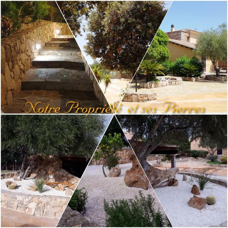 Villa Saba Olbia Dış mekan fotoğraf
