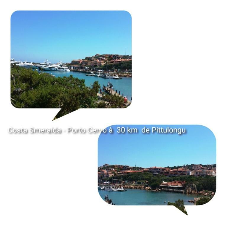Villa Saba Olbia Dış mekan fotoğraf